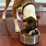 Fresh Dog Food